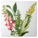 Search for foxgloves tiles Garden