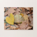 Search for colored leaf photography Fall