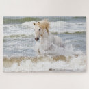 Search for sea horse puzzles Running