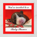 Search for terrier square invitations Party