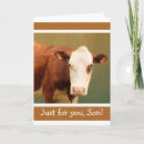 Search for funny cow jokes postcards For him