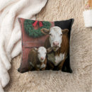 Search for cow cushions Livestock
