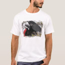 Search for galapagos tshirts Bird