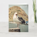 Search for morro cards Nature