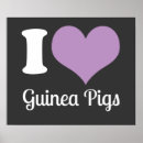 Search for guinea pig posters Pigs