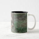 Search for masai mugs Animals in the wild