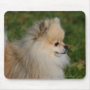 Search for headshot mouse mats Pomeranian