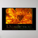 Search for resilience posters Confidence