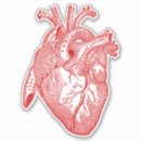 Search for vintage medical stickers Heart