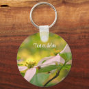 Search for pair key rings Nature