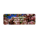 Search for apple blossoms return address labels Nature