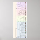 Search for evolve posters Evolution
