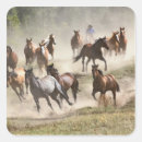 Search for montana stickers Cowboy