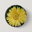 Search for yellow rose badges Pretty