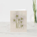 Search for embroider cards Flowers