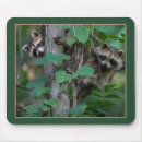 Search for siblings mouse mats Twins