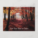 Search for autumn forest postcards Tree