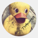 Search for ducky stickers Yellow duck