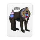 Search for monkey rectangular magnets Primate