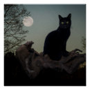Search for cat full moon posters Kitty