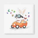 Search for hopping magnets Rabbit