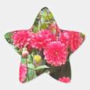 Search for pink dahlia stickers Botanical
