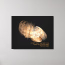 Search for single winged posters Bible