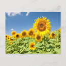 Search for get well soon postcards Friend