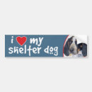 Search for i love my dog bumper stickers Pets