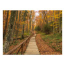 Search for mountain path posters Nature