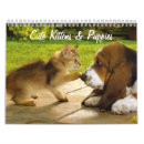 Search for puppy calendars Cat