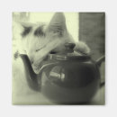 Search for white tea magnets Black