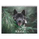 Search for resting office supplies Puppy
