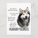 Search for ask postcards Dog