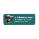 Search for ridgeback dog Ridgie