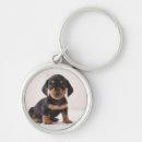 Search for dachshunds key rings Animals