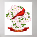 Search for state bird posters Virginia