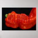 Search for bell pepper posters Veggies