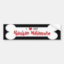 Search for dog breeds bumper stickers Canine