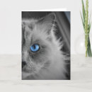 Search for ragdoll cat cards Pet