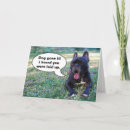 Search for french bulldog get well cards Frenchie