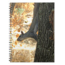 Search for squirrel business stationery Wildlife