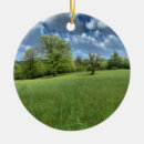 Search for spring green christmas tree decorations Summer