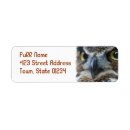 Search for owl return address labels Birds
