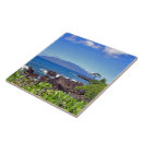 Search for maui tiles Hawaii
