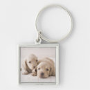 Search for flooring key rings Baby