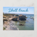 Search for beach shells postcards Coast