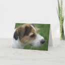 Search for jack russell terrier valentines day cards Heart