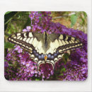 Search for swallowtail butterfly mouse mats Bug