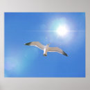 Search for sea bird art Beach house